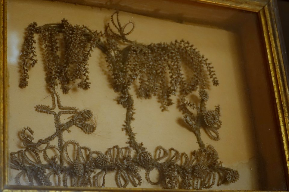 Hair art in shadow box, c. 19th century - O. Henry Museum - Austin, Texas - DSC09274