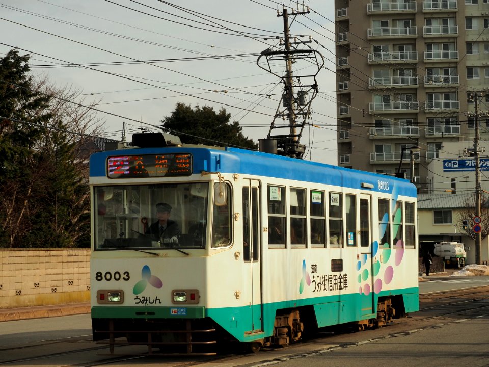 Hakodate city car 8003 in Hukabori-tyo