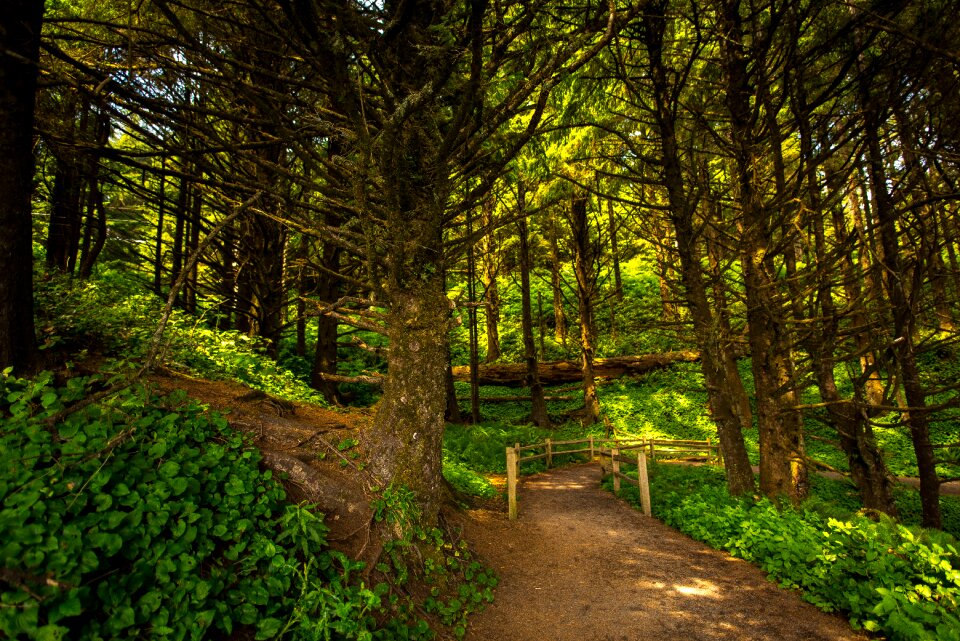Footpath guidance hike