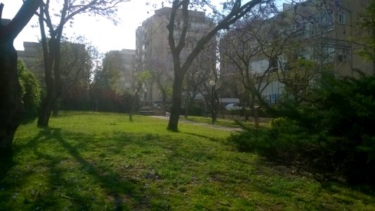 Hakongress-ramat-gan-may-2015
