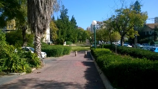 Hakongres-boulvard-february-3-2015