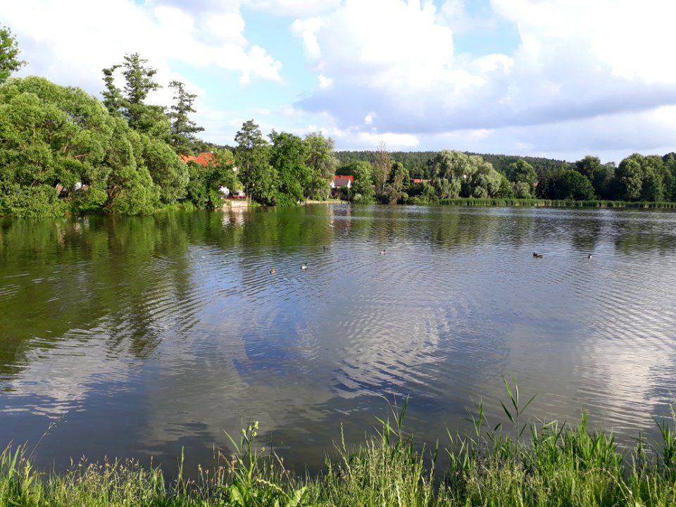 Hainspitzer See - 8