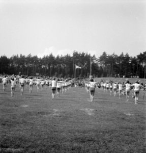 Grasvelden, vlaggen, mensen, feesten, sportdagen, Bestanddeelnr 251-9681