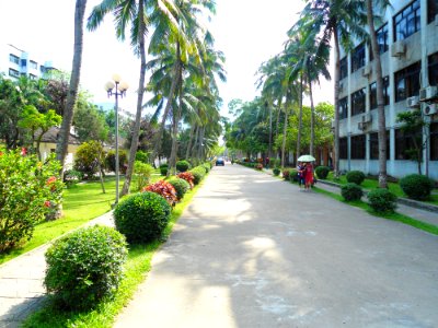 Hainan Normal University, Haikou Campus - 10