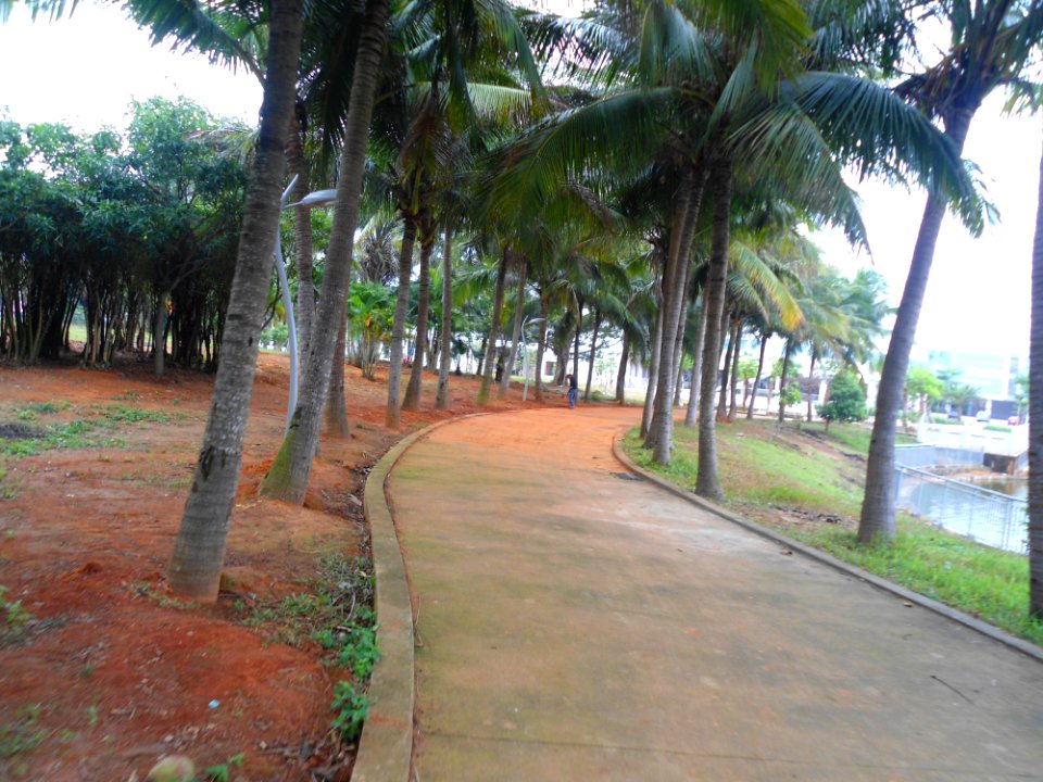 Hainan (Haikou) Youth Technology Park - 26