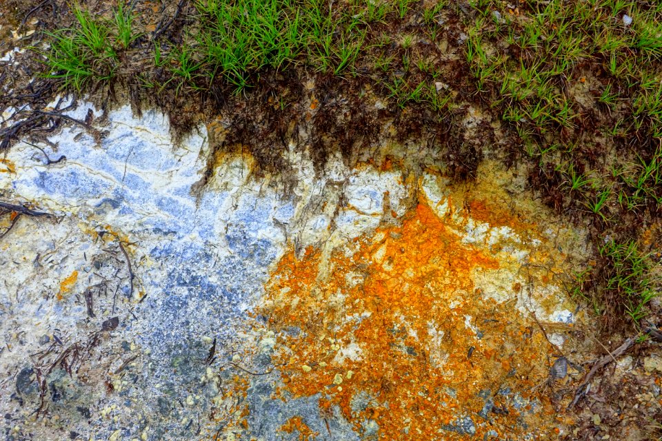 Grass and minerals - Mount Osore - Mutsu, Aomori - DSC00521