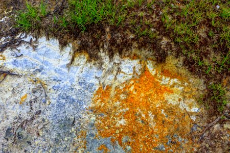 Grass and minerals - Mount Osore - Mutsu, Aomori - DSC00521