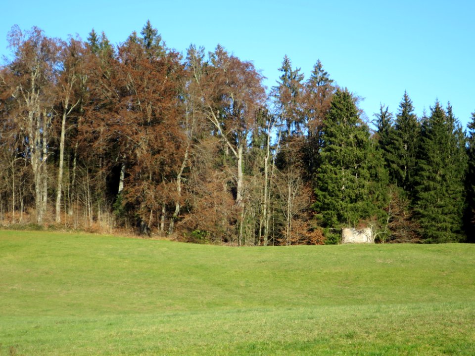 Grasbergkapelle (Grasberg) 4