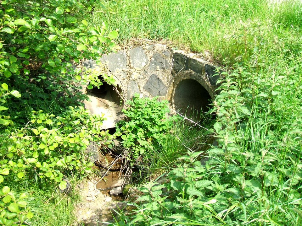 Hainbach Auslass asphaltierter Weg km 1,9 b