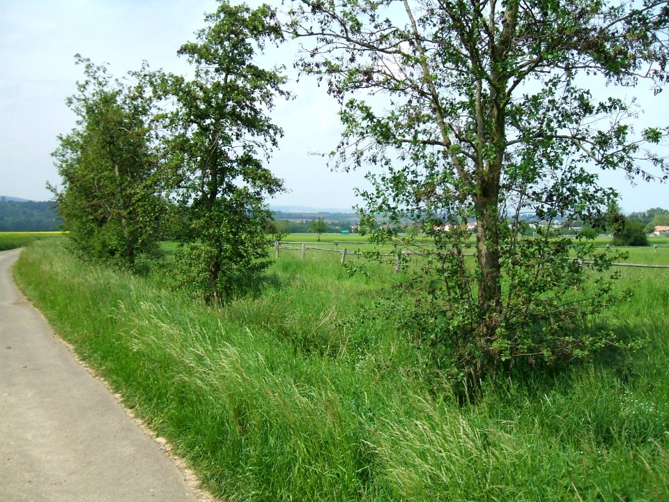 Hainbach Blick abwärts 2. Kurve