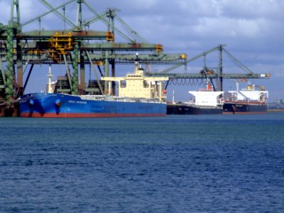 Great Navigator IMO 9301079 , Bonita & Hebei Forest, Mississippi harbour, Port of Rotterdam, Holland 29-Jul-2007