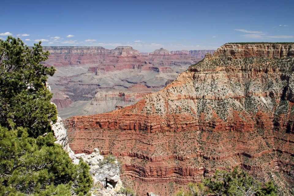 Colorado river scenic