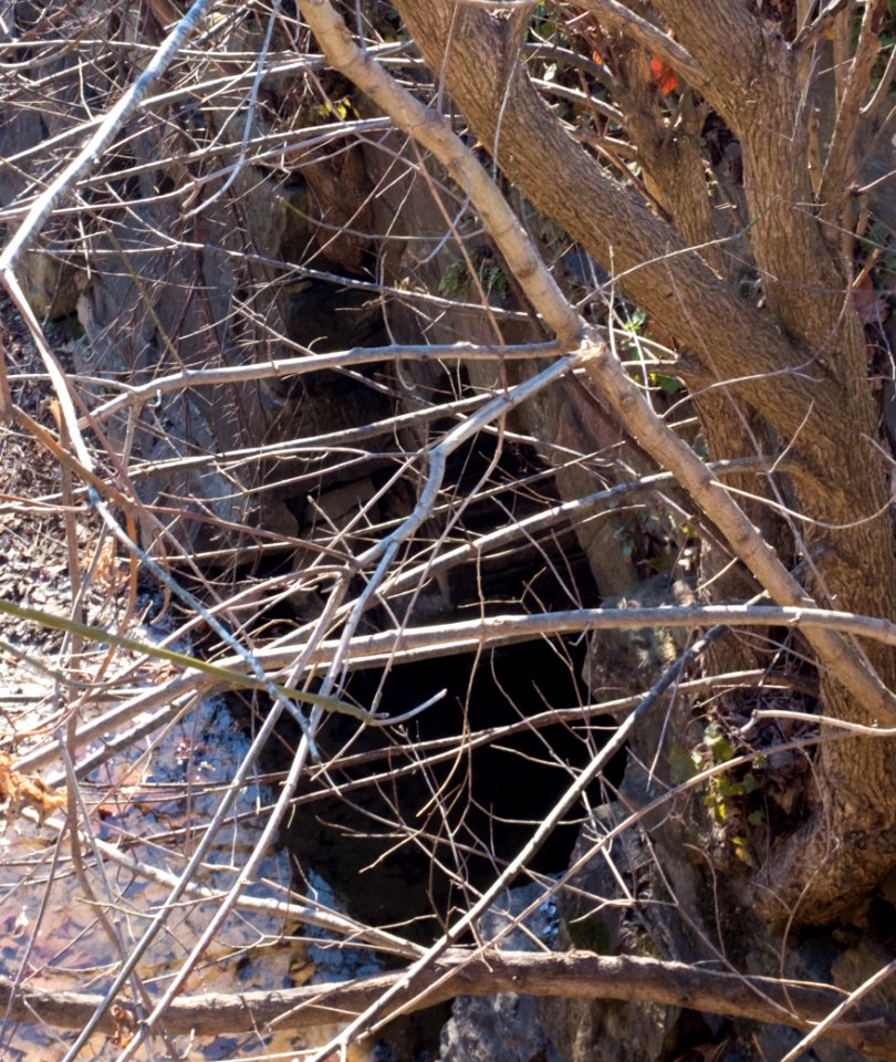Great Falls Feeder Closeup from Lock 18 (behind tree branches)