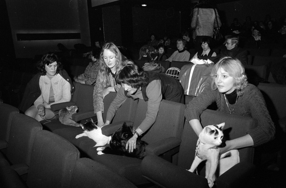 Gratis filmvoorstelling van Harry Tonto voor eigenaar van katten in Saskia, A, Bestanddeelnr 927-7312