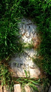 Gravestone in Attar Garden - Nishapur