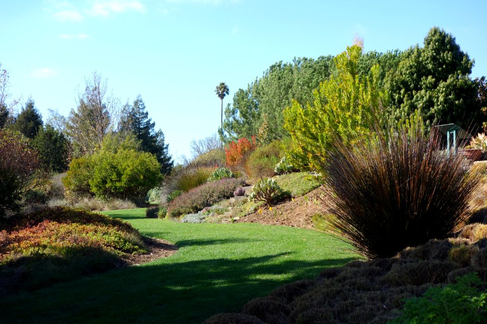 Grassy way - Leaning Pine Arboretum - DSC05620