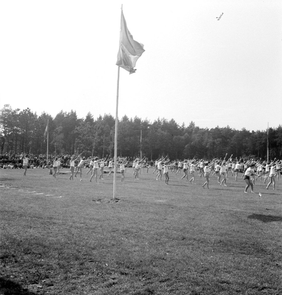 Grasvelden, vlaggen, mensen, feesten, Bestanddeelnr 251-9680