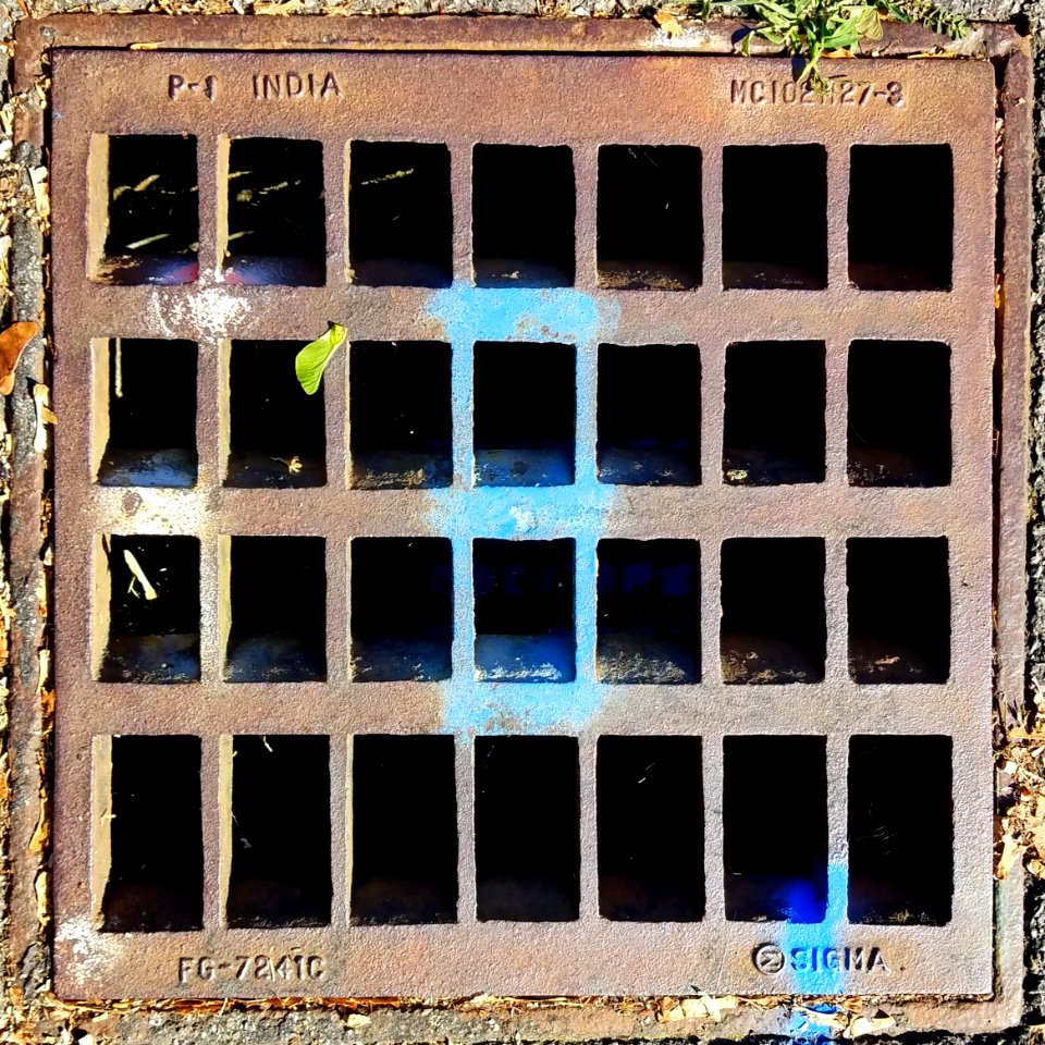 Grate, Sigma India P1, MC102M27-8 FG-7241C - Arlington, MA - 20200821 085512