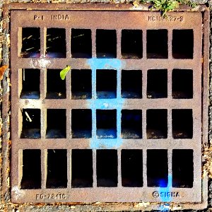 Grate, Sigma India P1, MC102M27-8 FG-7241C - Arlington, MA - 20200821 085512