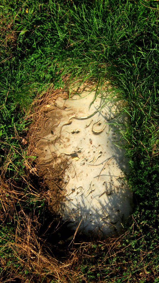Gravestone of Hassan Rahim Zadeh - Attar Garden - Nishapur