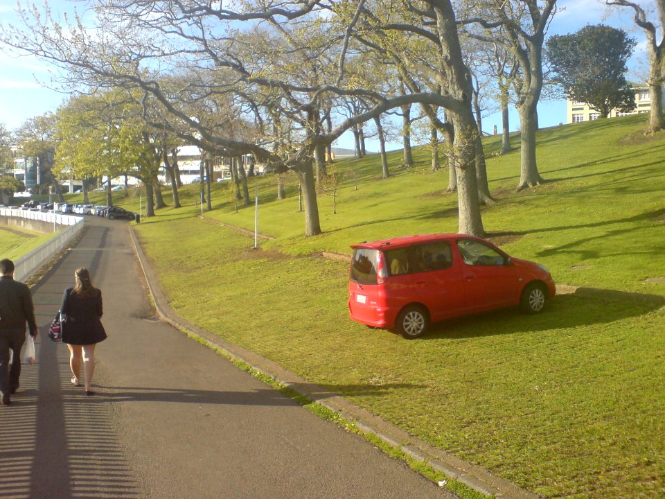 Grass Pavers In The Auckland Domain I