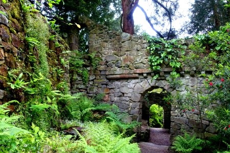 Great Wall - Biddulph Grange Garden - Staffordshire, England - DSC09348
