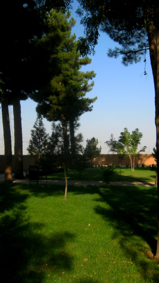 Grass - Tree - Morning - Mausoleum of Attar - Nishapur001
