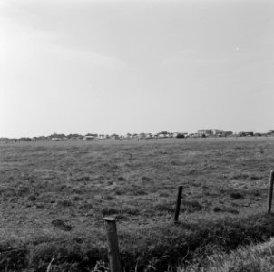 Graslanden, caravans, Bestanddeelnr 169-1260