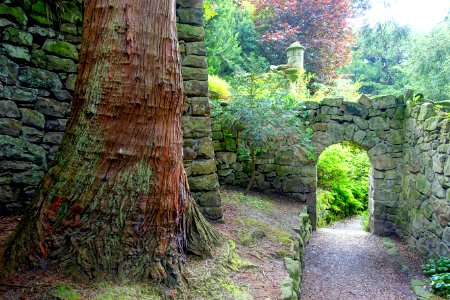 Great Wall - Biddulph Grange Garden - Staffordshire, England - DSC09354