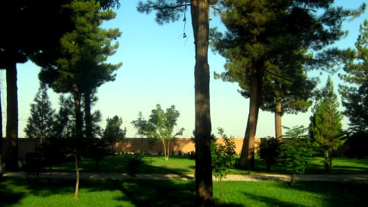 Grass - Tree - Morning - Mausoleum of Attar - Nishapur002