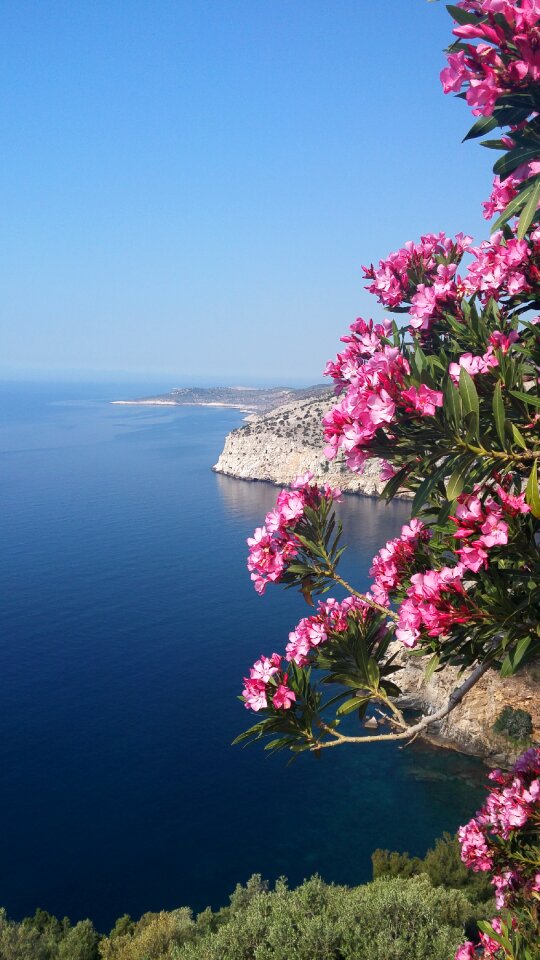 Thassos greece island
