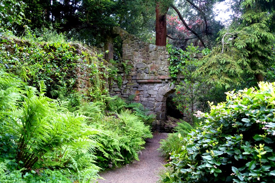 Great Wall - Biddulph Grange Garden - Staffordshire, England - DSC09344