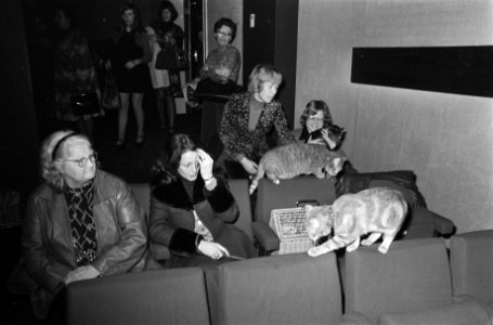 Gratis filmvoorstelling van Harry Tonto voor eigenaar van katten in Saskia, A, Bestanddeelnr 927-7313
