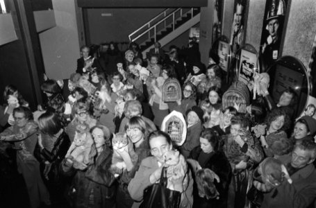 Gratis filmvoorstelling van Harry Tonto voor eigenaar van katten in Saskia, A, Bestanddeelnr 927-7311