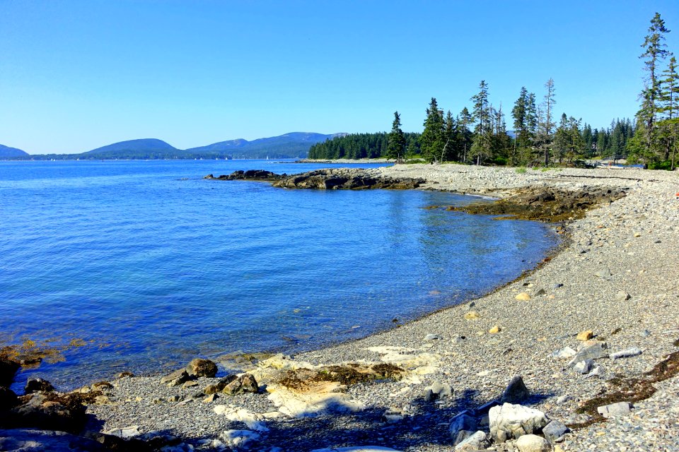 Great Cranberry Island, Maine - DSC03820