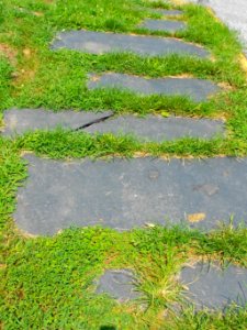 Grassy Slate sidewalk Delta PA
