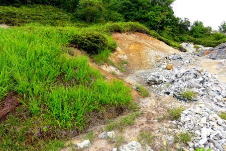 Grass - Mount Osore - Mutsu, Aomori - DSC00527