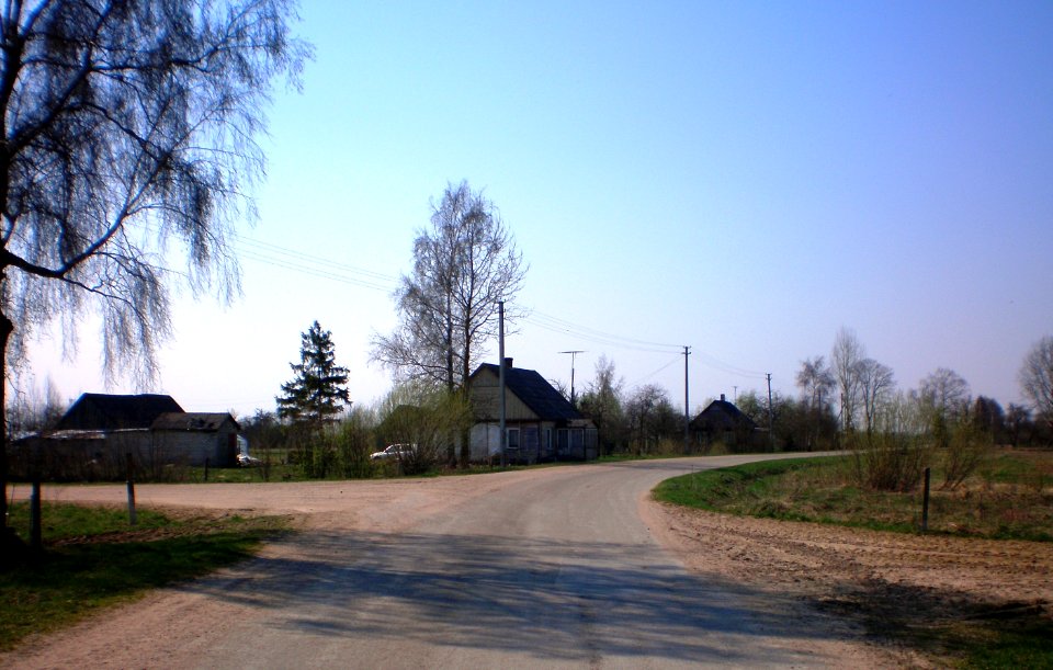 Graužai1