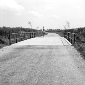 Graven en verbeteren van kanalen, aanleggen bruggen, bruggen, lek en linge, para, Bestanddeelnr 160-0827