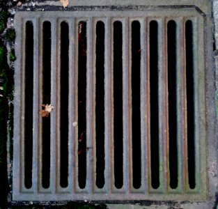 Grate (10 slit) - Arlington, MA - DSC03573
