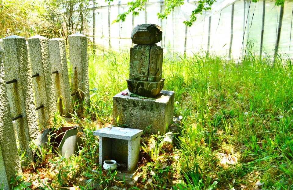 Grave of Takamitsu in Habikino