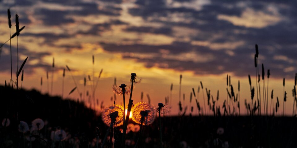 Roadside sunset sun photo