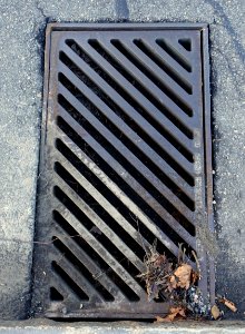 Grate - Arlington, MA - DSC05420