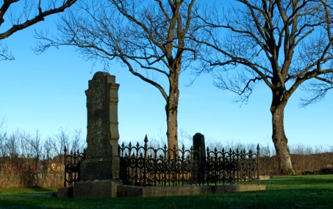 Grave and two trees in Brastad old cemetery photo