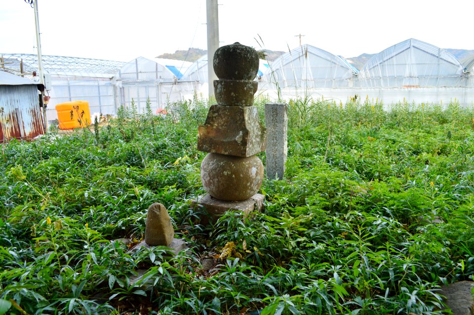 Grave of Kosokabe Chikayasu in Hokyo-ji (Konan)