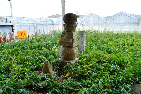 Grave of Kosokabe Chikayasu in Hokyo-ji (Konan)