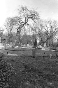 Graven, begraafplaatsen, Bestanddeelnr 933-6086