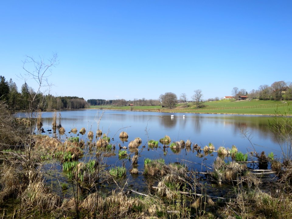 Graner Weiher Böbing 5