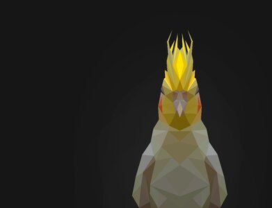 Polygon geometric animal