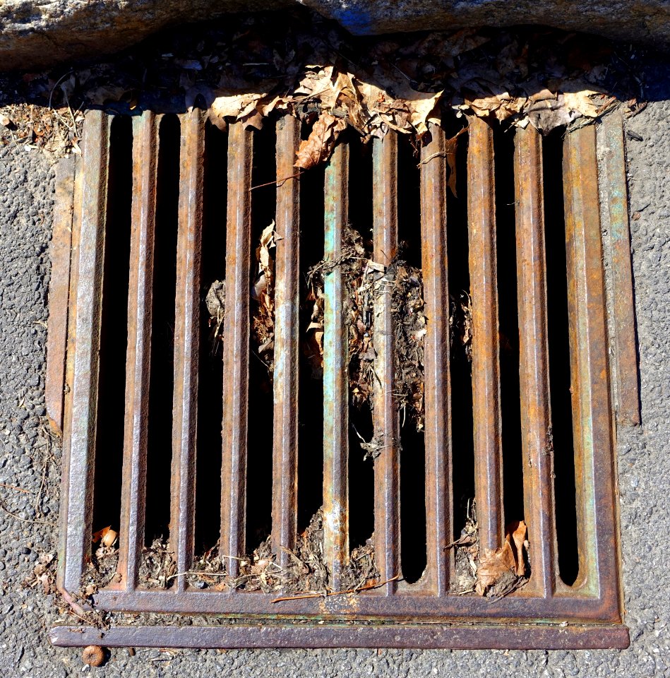 Grate - Arlington, MA - DSC09254